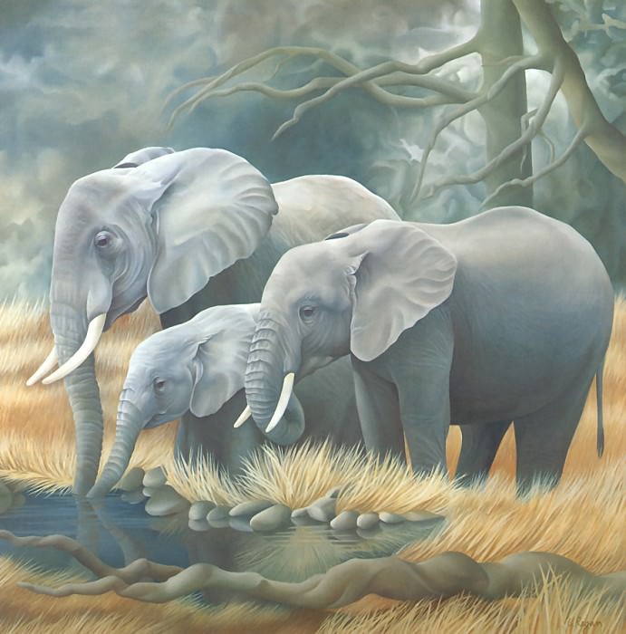s4-vanishingspecies006-africanelephant. L Риган
