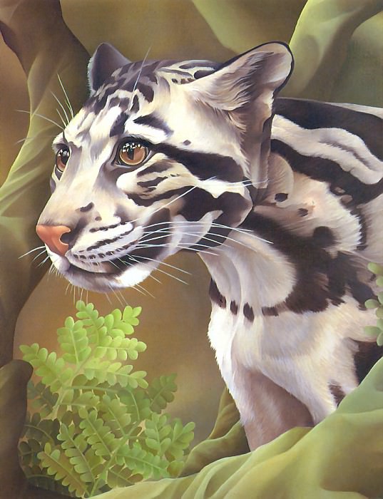 s4-vanishingspecies039-cloudedleopard. L Regan