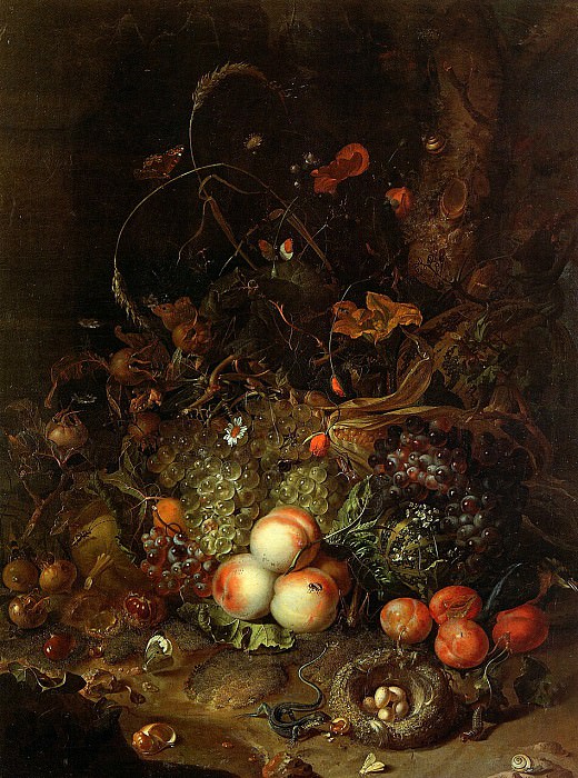 Still life with fruit. Rachel Ruysch