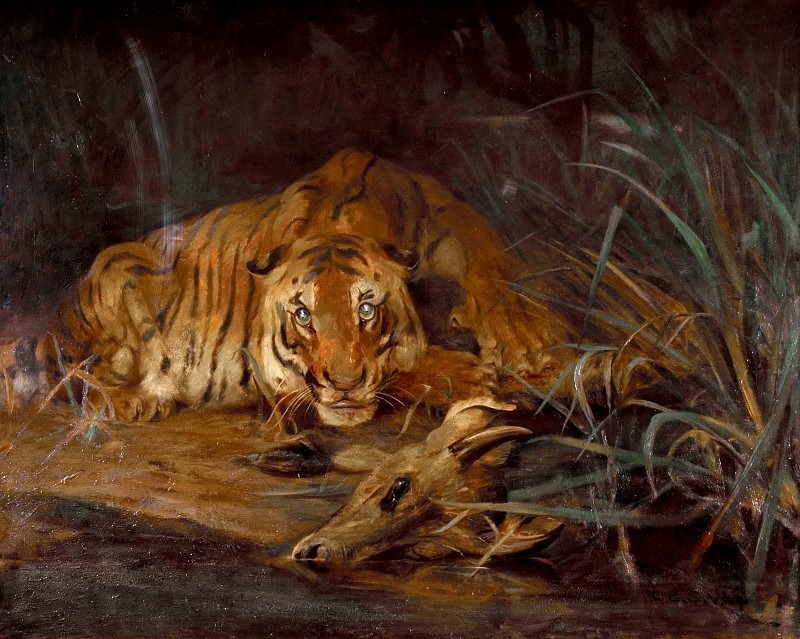 Tiger And Prey. Cuthbert Edmund Swan