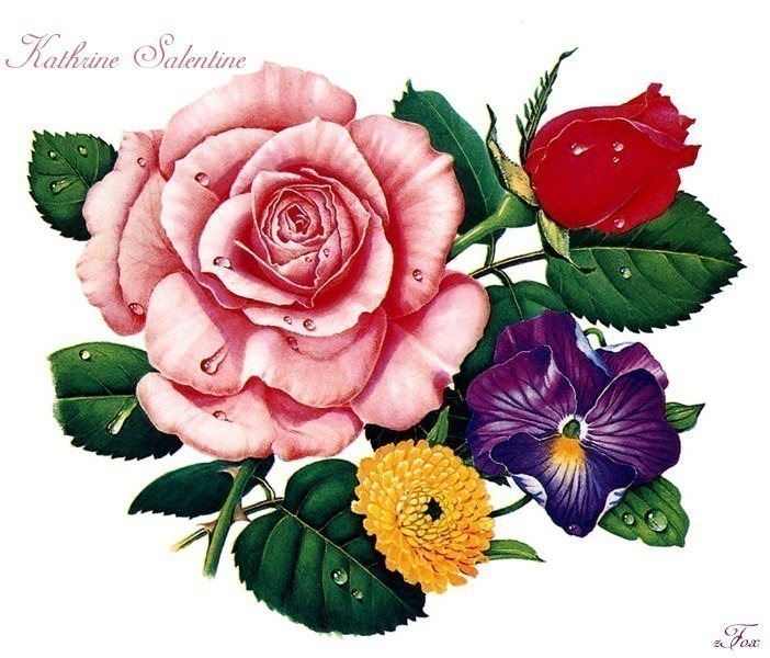 IS6 047 Kathrine Salentine 00 (Flowers). Катрин Салентин