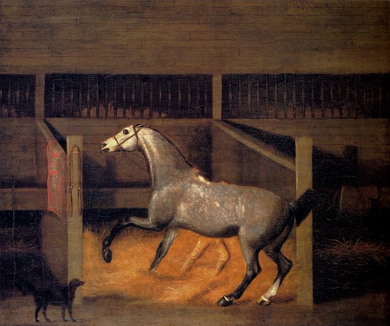 Sartorius Francis A Dappled Grey In A Stall. Фрэнсис Сарториус