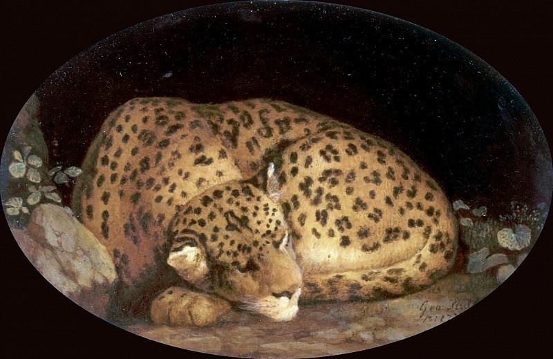 Sleeping Leopard. George Stubbs