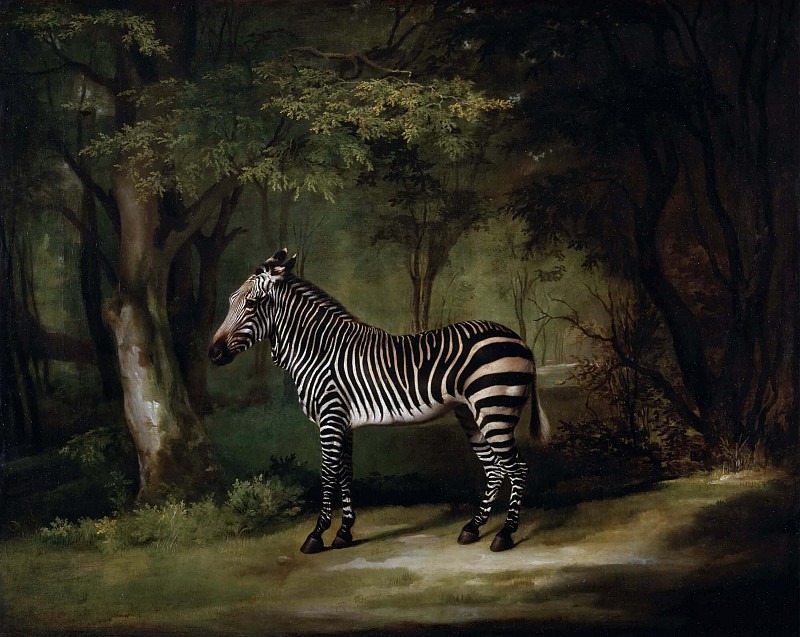 Zebra. George Stubbs