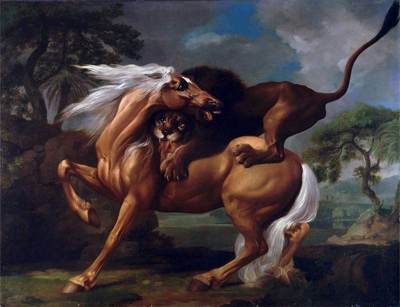Лев атакует лошадь