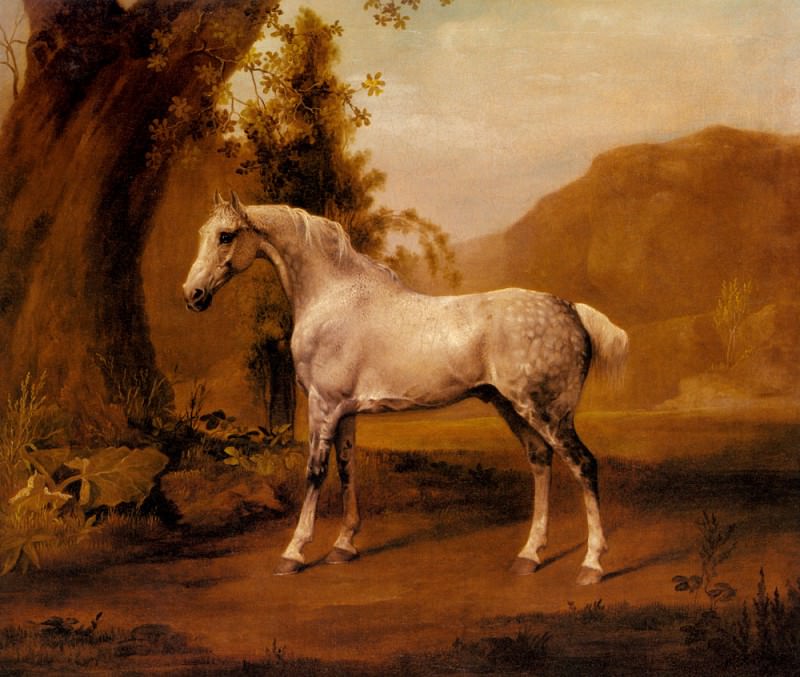Stubbs George A Grey Stallion In A Landscape. Джордж Стаббс
