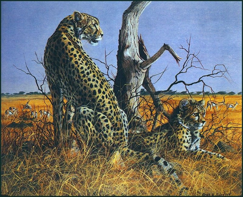 lrsSwansonGary-Cheetahs. Гэри Свонсон