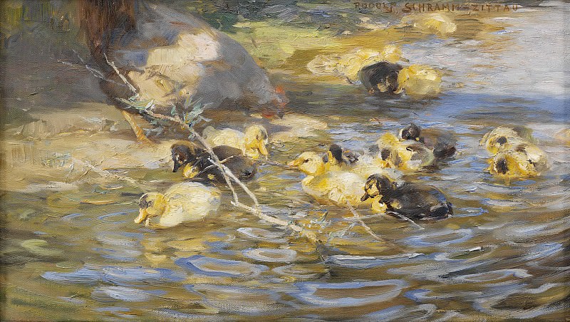 Ducks. Rudolf Schramm-Zittaus