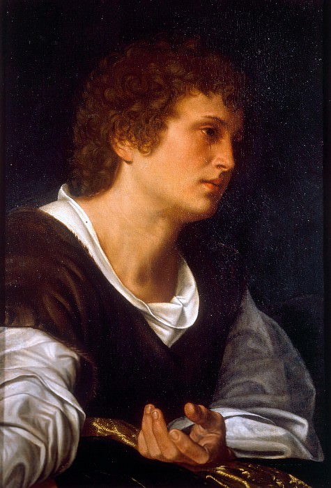 Portrait of a young man. Giovanni Girolamo Savoldo