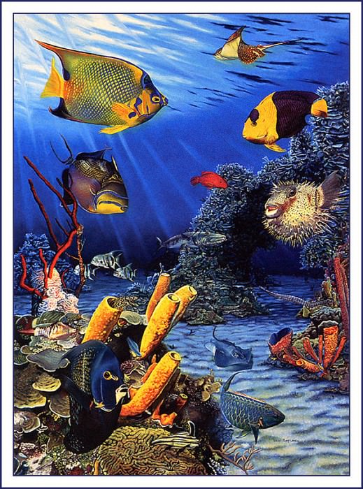 bs-na- Ben Saturen- Caribbean Reef Fish. Бен Насыщенные