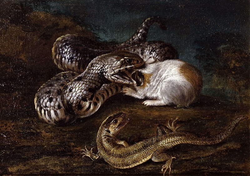 Reptiles. Otto Marseus van Schrieck