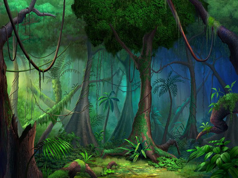 rainforest large. Philip Straub