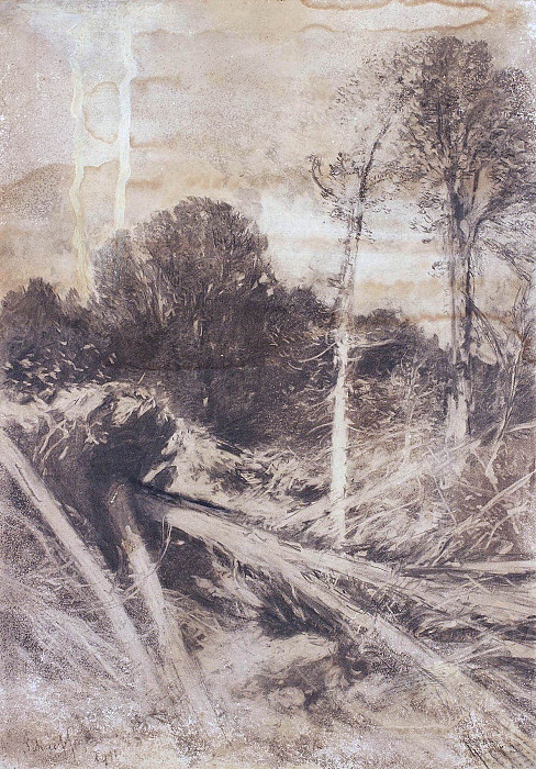 Tree study; Baumstudie. August Schaeffer von Wienwald