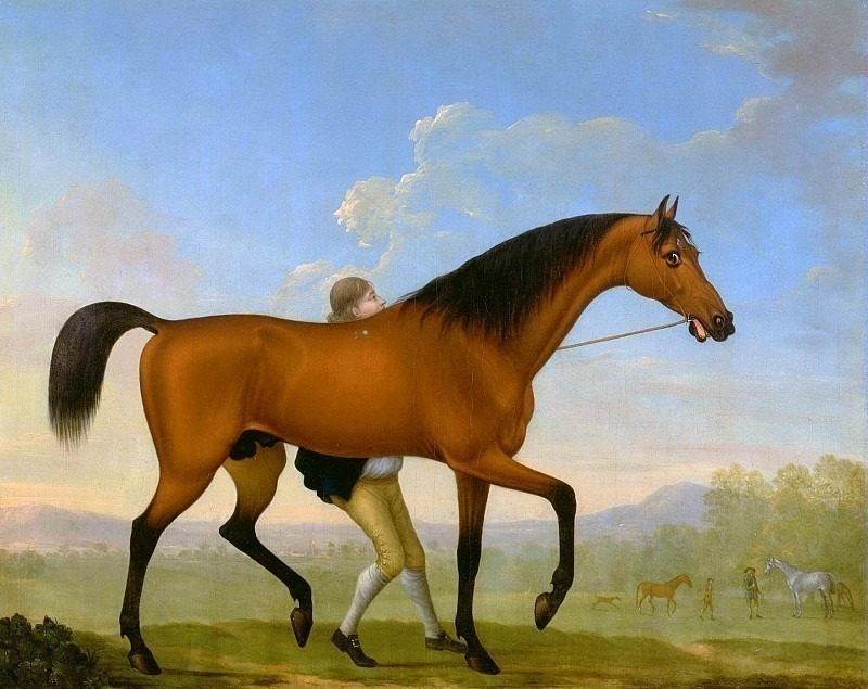 The Duke of Ancaster’s Bay Stallion, Blank, Walking Towards a Mare. William Shaw