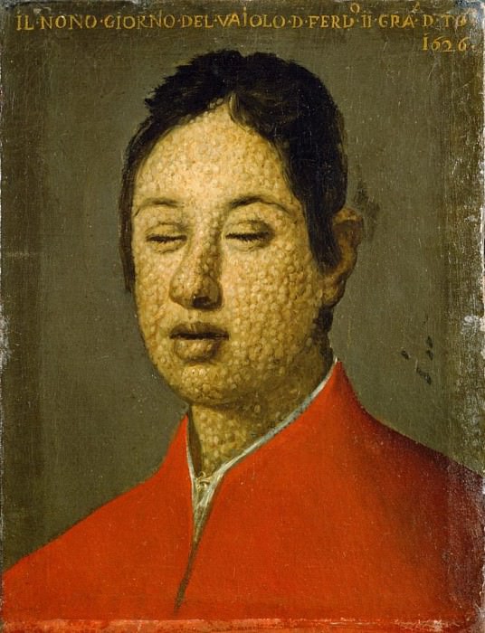 Portrait of Ferdinando II de Medici. Justus Sustermans