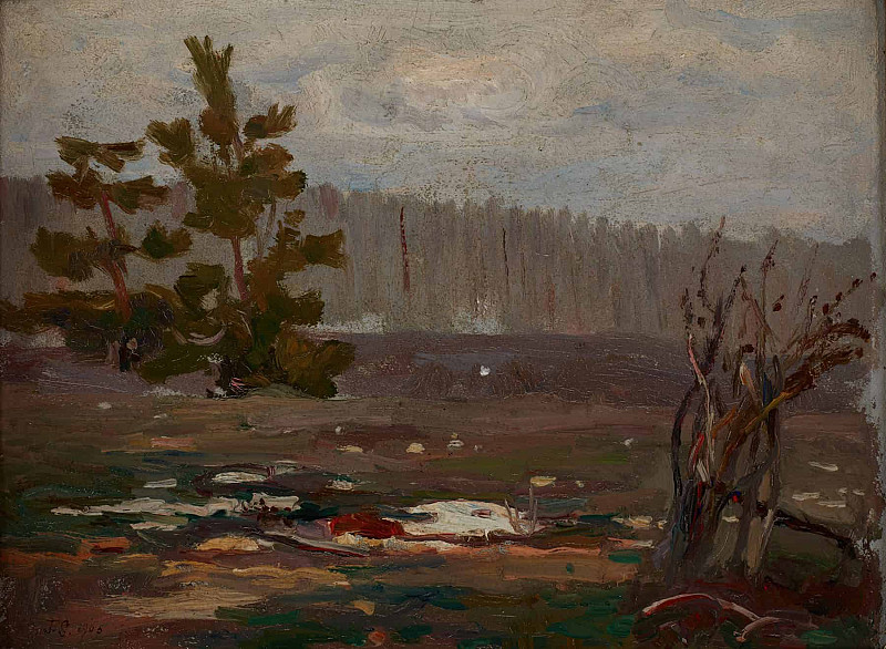 Серый весенний день. Ян Станиславский