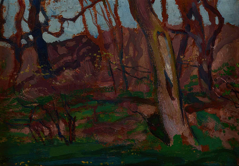 Мотив из Императорского сада в Киеве. Ян Станиславский