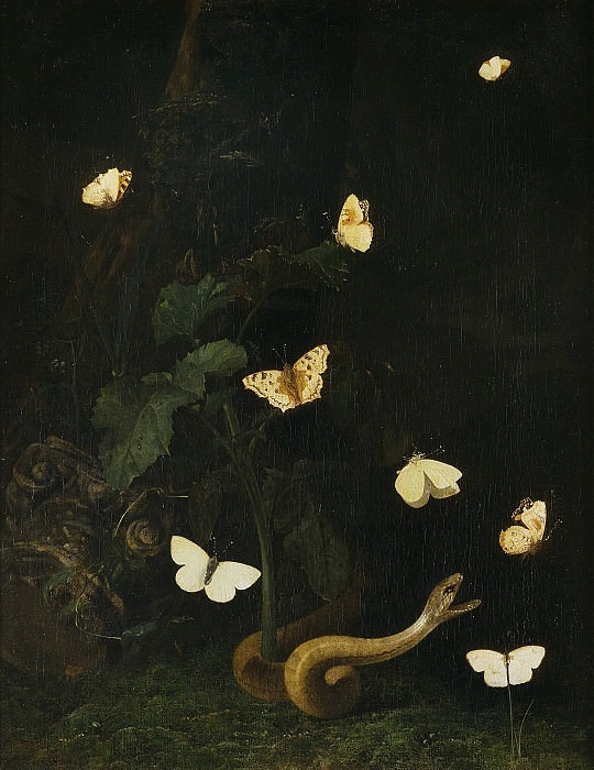 Herbs, Butterflies and a Serpent. Christiaen Striep
