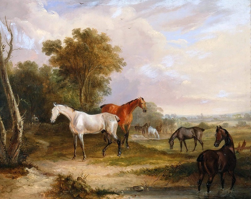 Лошади пасутся - серый жеребец пасётся с кобылами на лугу. Фрэнсис Калкрафт Тернер