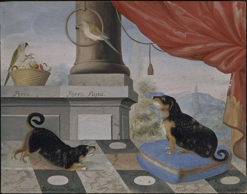 Two dogs and two parrots on a patio [Attributed]