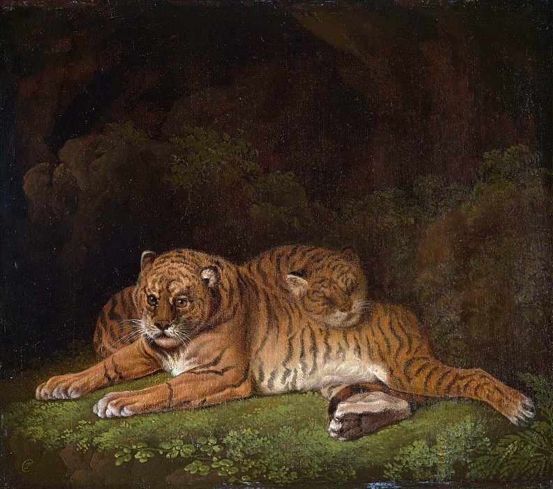 Tigers. Charles Towne