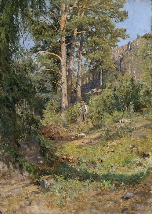 Pine Forest in Skutudden. Carl Trägårdh