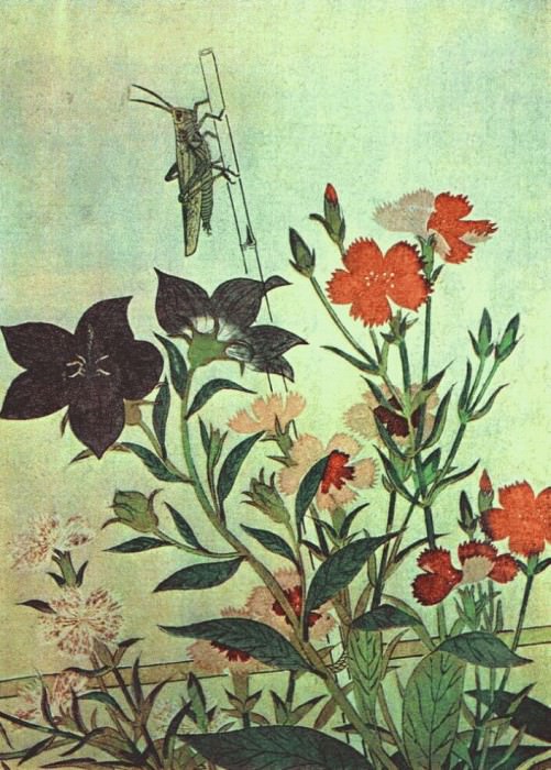 Utamaro Rice Locust- Red Dragonfly- Pinks- Chinese Bell Flowers 1788. Kitagawa Utamaro