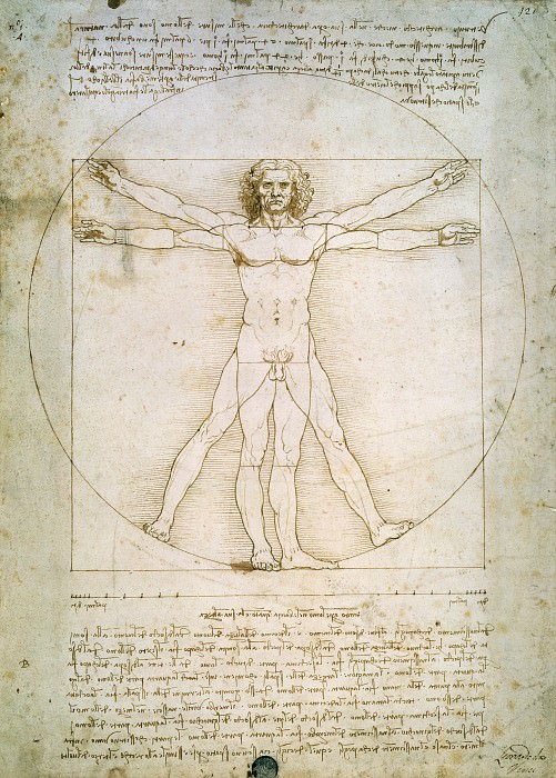 Vitruvian Man, Leonardo da Vinci