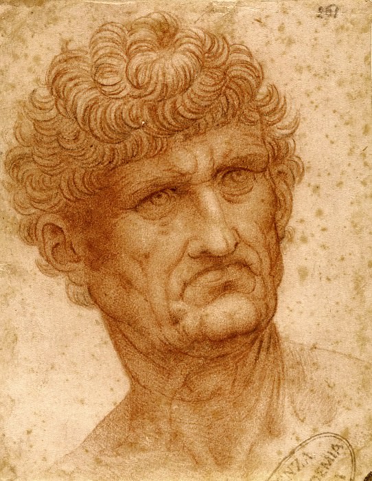 Голова мужчины, Леонардо да Винчи