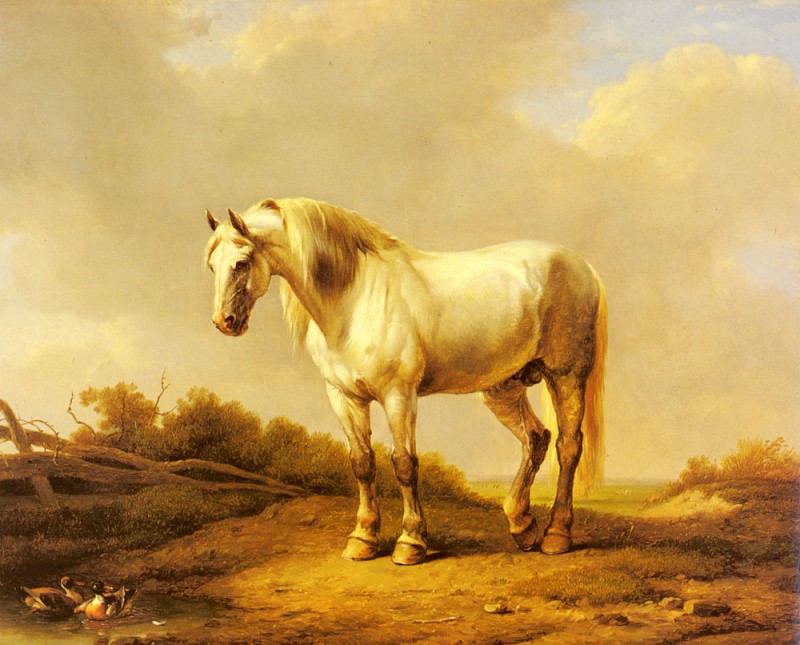 Verboeckhoven Eugene Joseph A White Stallion In A Landscape. Эжен Жозеф Вербукховен