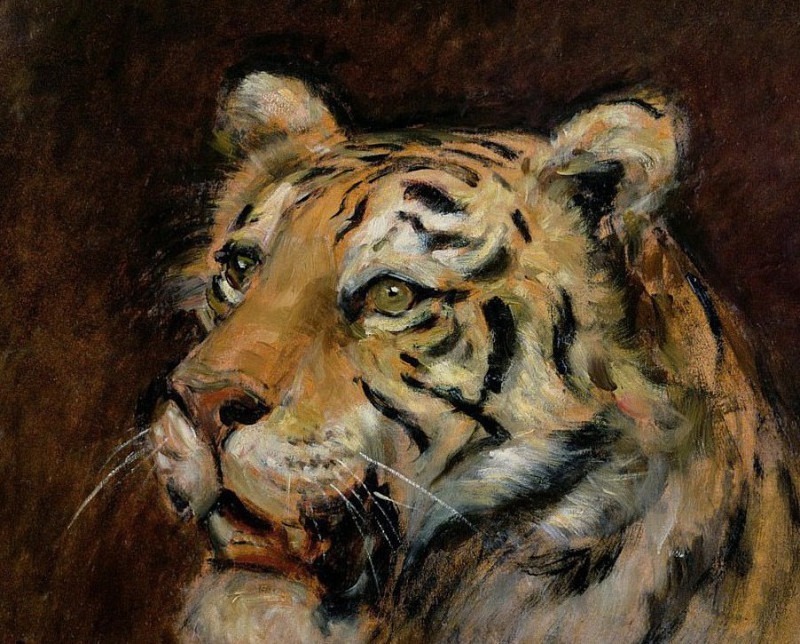 Head Study of a Tiger. Rowland Wheelwright