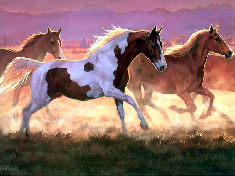 horses in the mist csg010 take off. Пэрис Клейтон Плотин