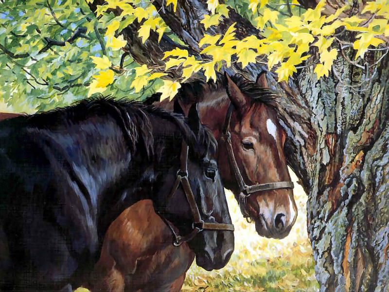 horses in the mist csg009 the shade tree. Peris Clayton Weirs