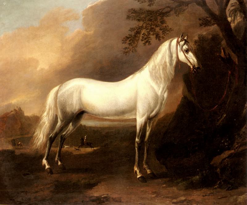 Wyck Jan A Grey Arab Stallion In A Landscape. Jan Wyck
