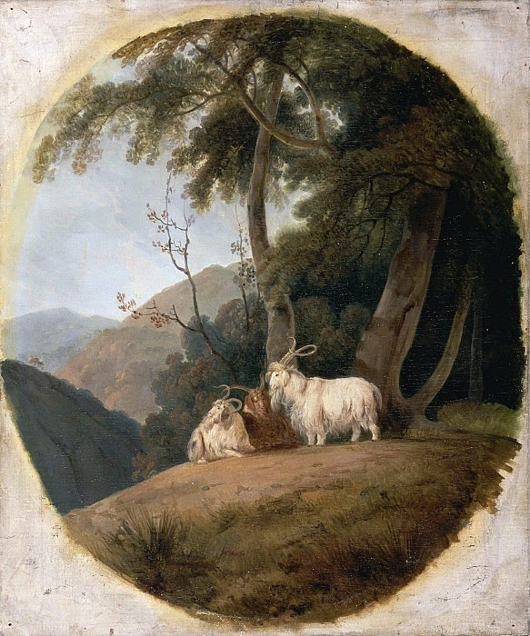 Kashmir Goats. William Daniell