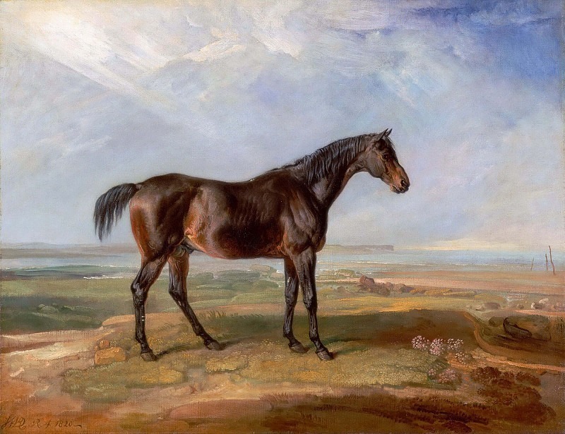 Доктор Синтакс, скаковая лошадь, стоящая в прибрежном ландшафте, и устье на заднем плане. Джеймс Уорд