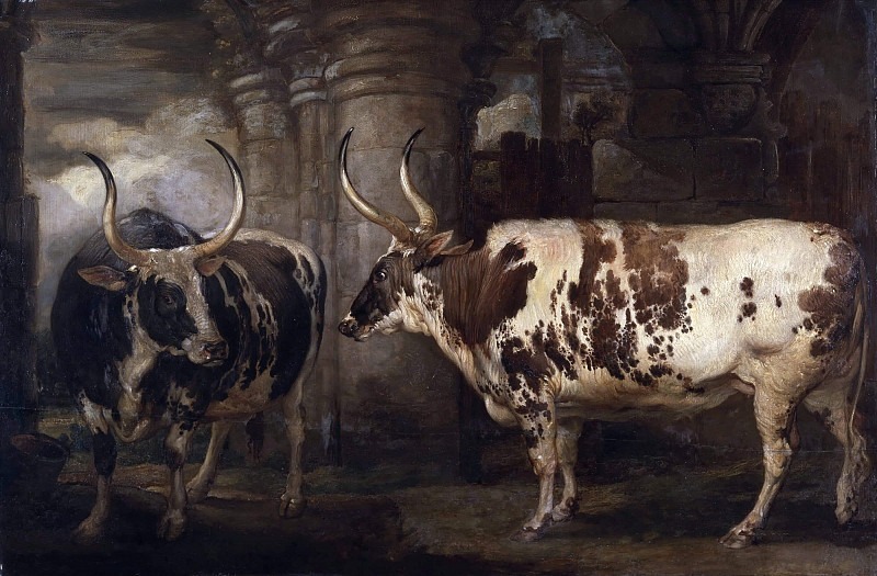 Portraits of two extraordinary oxen, the property of the Earl of Powis. James Ward