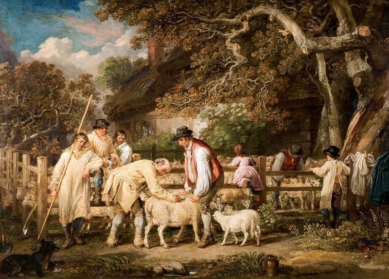 Sheep Salving. James Ward