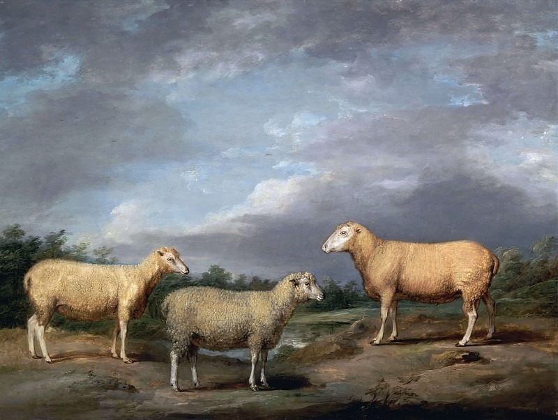 Ryelands Sheep, the King’s Ram, the King’s Ewe and Lord Somerville’s Wether. James Ward