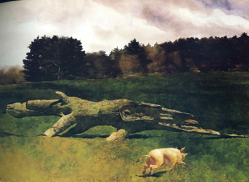 , James Wyeth