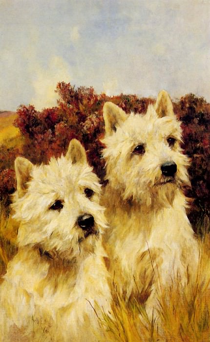 Wardle Arthur Jacque And Jean Champion Westhighland White Terriers. Arthur Wardle