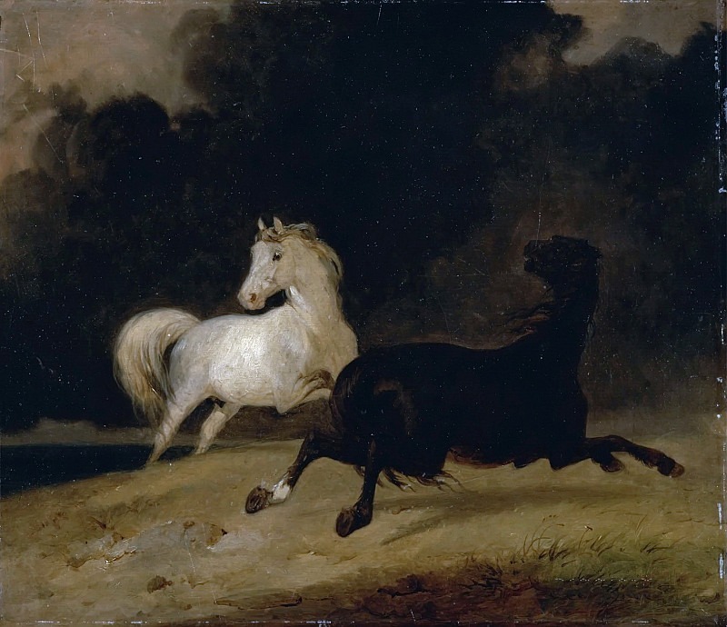 Лошади во время грозы