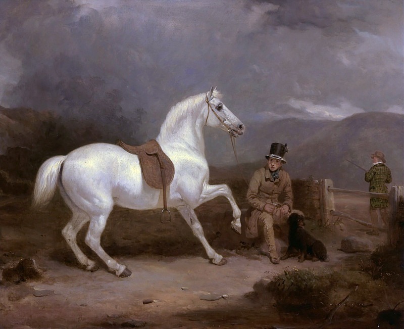 Серый охотничий пони, вероятно, собственность Джонстона Кинга, с конюхом. Томас Вудворд