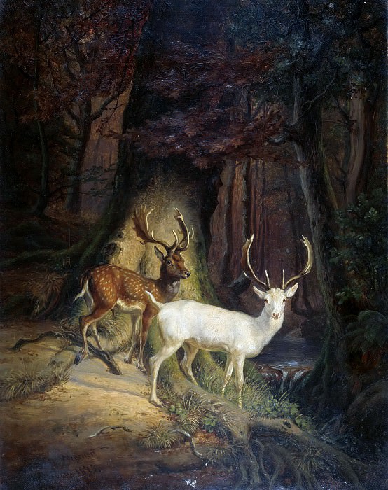 Fallow deer. Johann Wegener