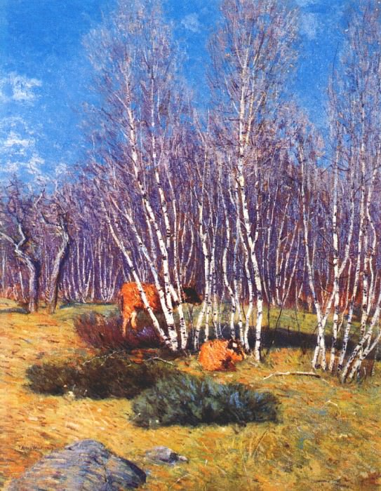 weir the birches 1903. Плотина