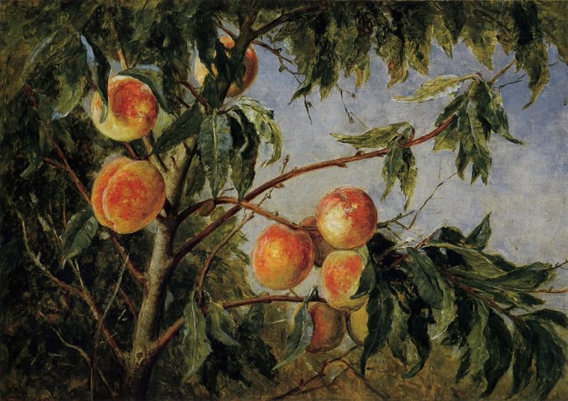 Wittredge Worthington Peaches 1894. Томас Уортингтон Уиттредж