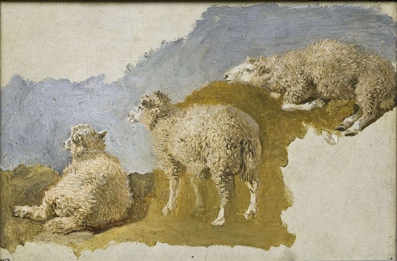 Три овцы. Этюд