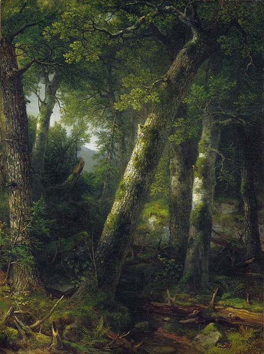 Asher Brown Durand - Forest in the Morning Light. National Gallery of Art (Washington)