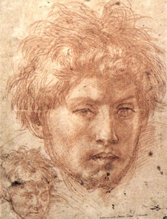 Youth head. Andrea del Sarto