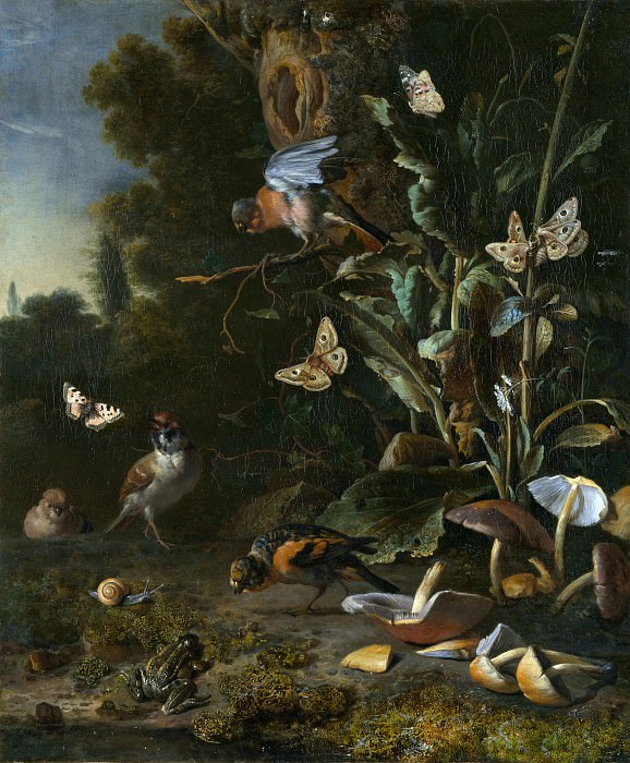 Melchior dHondecoeter - Birds, Butterflies and a Frog among Plants and Fungi. Part 5 National Gallery UK
